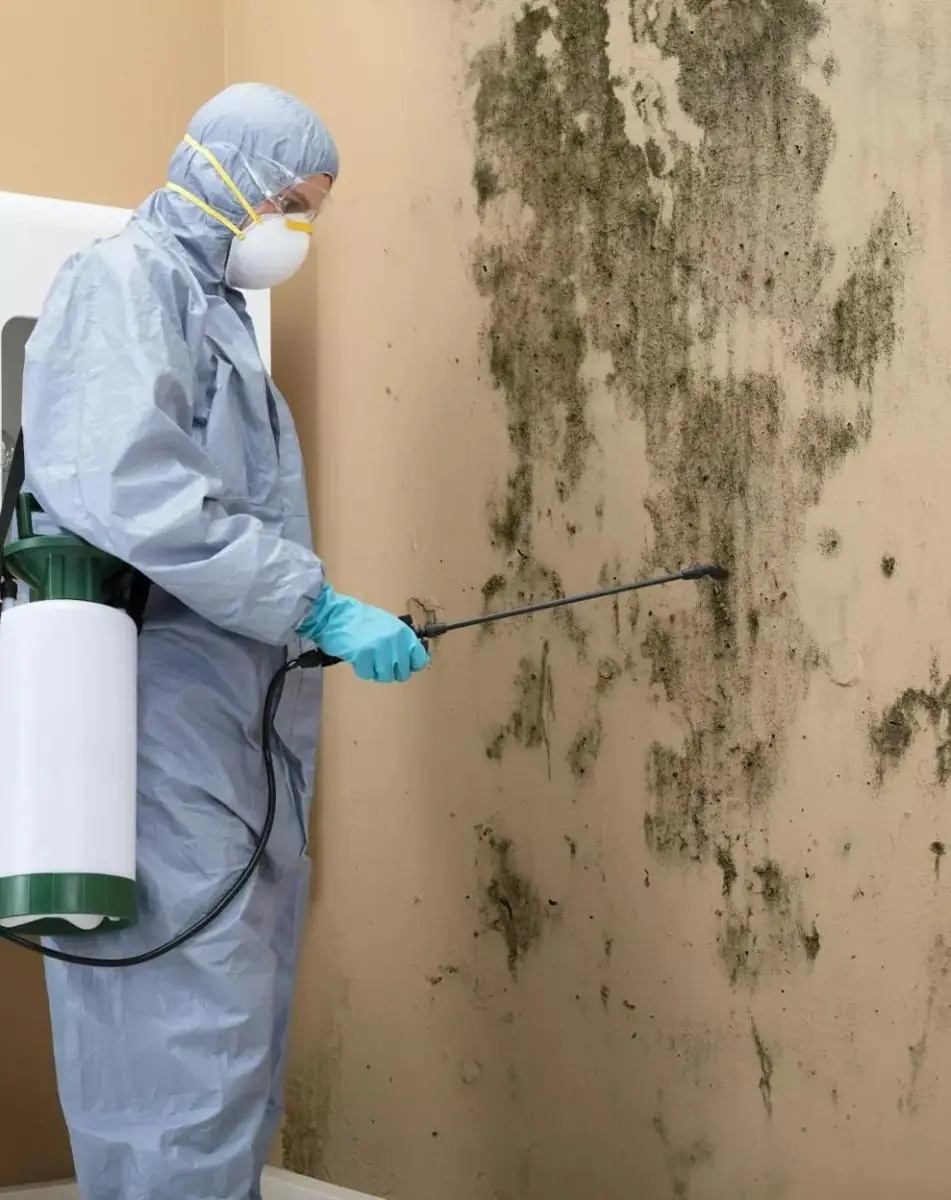 Mould removal